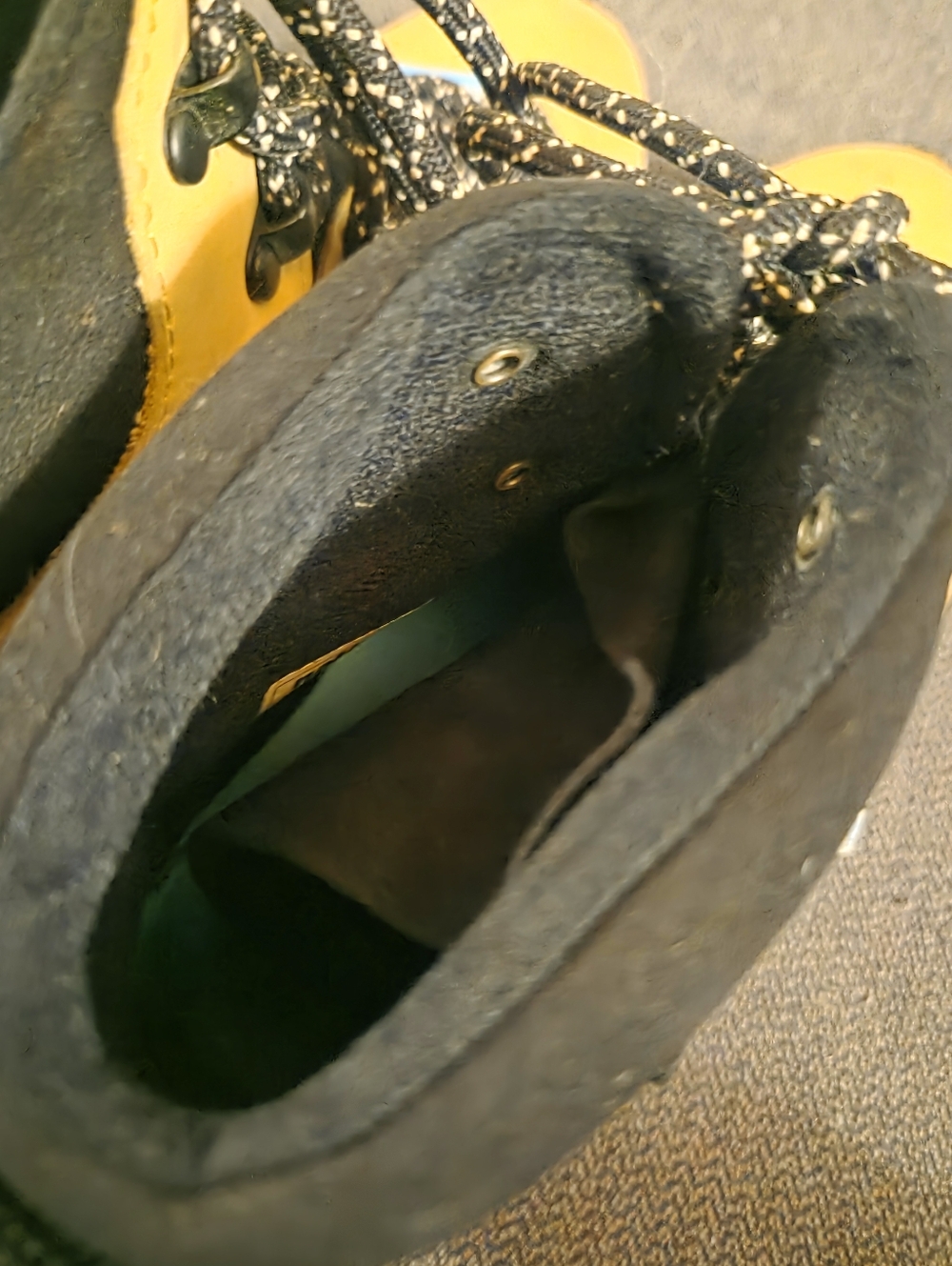Native Apex Water Resistent Boot 5.5 - Picture 6 of 8